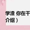 學渣 你在干什么？（關于學渣 你在干什么？介紹）