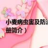 小麥病蟲害及防治原色圖冊（關于小麥病蟲害及防治原色圖冊簡介）