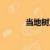 當地樹豆（關于當地樹豆介紹）