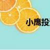 小鷹投資（關于小鷹投資簡介）