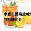 小麥豐優高效栽培技術與機理（關于小麥豐優高效栽培技術與機理簡介）