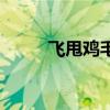 飛甩雞毛屬幾線品牌（飛甩雞毛）