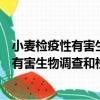 小麥檢疫性有害生物調查和檢疫處理規范（關于小麥檢疫性有害生物調查和檢疫處理規范簡介）