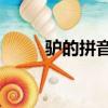 驢的拼音26鍵怎么打（驢的拼音）
