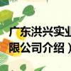 廣東洪興實業有限公司（關于廣東洪興實業有限公司介紹）