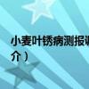 小麥葉銹病測報調查規范（關于小麥葉銹病測報調查規范簡介）