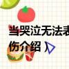 當哭泣無法表達悲傷（關于當哭泣無法表達悲傷介紹）