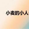小麥的小人書（關于小麥的小人書簡介）