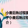小麥后熟過程面筋蛋白變化對品質影響及控制機理研究（關于小麥后熟過程面筋蛋白變化對品質影響及控制機理研究簡介）