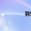 羽生結弦回應央視評論