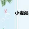 小麥濕害（關于小麥濕害簡介）