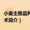 小麥主推品種與技術（關于小麥主推品種與技術簡介）