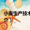 小麥生產技術問答（關于小麥生產技術問答簡介）
