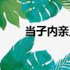 當子內親王（關于當子內親王介紹）