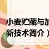 小麥貯藏與加工新技術（關于小麥貯藏與加工新技術簡介）
