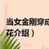 當女金剛穿成白蓮花（關于當女金剛穿成白蓮花介紹）