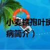 小麥蠕孢葉斑根腐病（關于小麥蠕孢葉斑根腐病簡介）