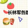 長林軍各路人馬追隨長林王（長林軍）