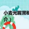 小麥光腥黑穗病菌（關于小麥光腥黑穗病菌簡介）