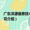 廣東洋源信息技術有限公司（關于廣東洋源信息技術有限公司介紹）