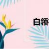 白領襯衫團購（白領襯衫）