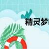 精靈夢葉羅麗視頻（精靈私服）