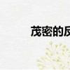 茂密的反義詞是（茂密的反義詞）