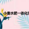 小麥水肥一體化技術圖解（關于小麥水肥一體化技術圖解簡介）