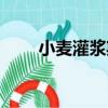 小麥灌漿期（關于小麥灌漿期簡介）
