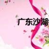 廣東沙湖鎮（關于廣東沙湖鎮介紹）