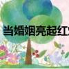 當婚姻亮起紅燈（關于當婚姻亮起紅燈介紹）