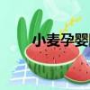 小麥孕嬰網（關于小麥孕嬰網簡介）