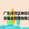 廣東洋灣證券投資基金管理有限公司（關于廣東洋灣證券投資基金管理有限公司介紹）