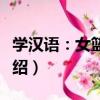 學漢語：女籃五號（關于學漢語：女籃五號介紹）