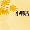小鴨吉吉（關于小鴨吉吉簡介）