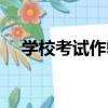 學校考試作弊（關于學校考試作弊介紹）