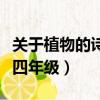 關于植物的詩歌四年級摘抄（關于植物的詩歌四年級）