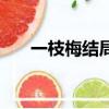 一枝梅結局恩彩太可憐（一枝梅結局）