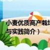 小麥優質高產栽培理論與實踐（關于小麥優質高產栽培理論與實踐簡介）