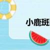 小鹿斑比（關于小鹿斑比簡介）