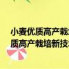 小麥優質高產栽培新技術/農業科技入戶叢書（關于小麥優質高產栽培新技術/農業科技入戶叢書簡介）