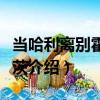 當哈利離別霍格沃茨（關于當哈利離別霍格沃茨介紹）