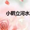 小鶴立河水庫（關于小鶴立河水庫簡介）