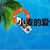 小麥的愛情（關于小麥的愛情簡介）