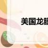 美國龍膜汽車隔熱膜（美國龍膜）