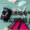 廣東浩城電氣有限公司（關于廣東浩城電氣有限公司介紹）