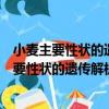 小麥主要性狀的遺傳解析及分子標記輔助育種（關于小麥主要性狀的遺傳解析及分子標記輔助育種簡介）