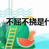 不屈不撓是什么歌（不屈不撓是什么生肖）