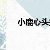 小鹿心頭撞（關于小鹿心頭撞簡介）