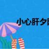 小心肝夕陽看魚（小心肝 夕陽看魚）